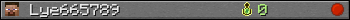 Lye665789 userbar 350x20