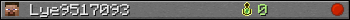 Lye9517093 userbar 350x20