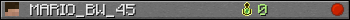 MARIO_BW_45 userbar 350x20