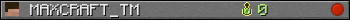 Юзербар 350x20 для MAXCRAFT_TM