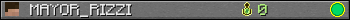 MAYOR_RIZZI userbar 350x20