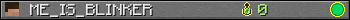 ME_IS_BLINKER userbar 350x20