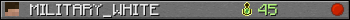 MILITARY_WHITE userbar 350x20