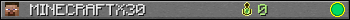 MINECRAFTX30 userbar 350x20