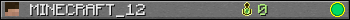 MINECRAFT_12 userbar 350x20