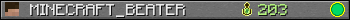 MINECRAFT_BEATER userbar 350x20