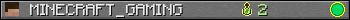 MINECRAFT_GAMING userbar 350x20