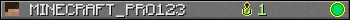 MINECRAFT_PRO123 userbar 350x20