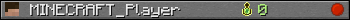 MINECRAFT_Player userbar 350x20