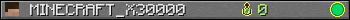 MINECRAFT_X30000 userbar 350x20