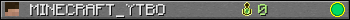 MINECRAFT_YTBO userbar 350x20