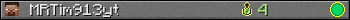 MRTim913yt userbar 350x20