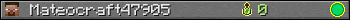 Mateocraft47905 userbar 350x20