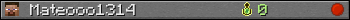Mateooo1314 userbar 350x20