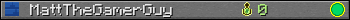 MattTheGamerGuy userbar 350x20