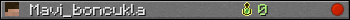 Mavi_boncukla userbar 350x20