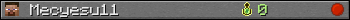 Mecyesu11 userbar 350x20