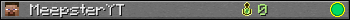 MeepsterYT userbar 350x20