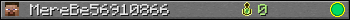 MereBe56910866 userbar 350x20