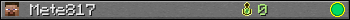 Mete817 userbar 350x20