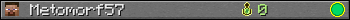 Metomorf57 userbar 350x20