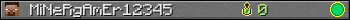 MiNeRgAmEr12345 userbar 350x20