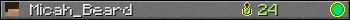 Micah_Beard userbar 350x20