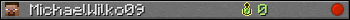 MichaelWilko09 userbar 350x20