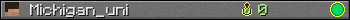 Michigan_uni userbar 350x20