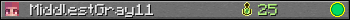 MiddlestGray11 userbar 350x20