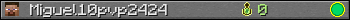 Miguel10pvp2424 userbar 350x20