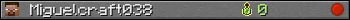 Miguelcraft038 userbar 350x20