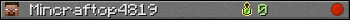 Mincraftop4819 userbar 350x20