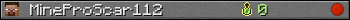 MineProScar112 userbar 350x20