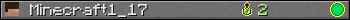 Minecraft1_17 userbar 350x20