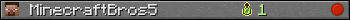 MinecraftBros5 userbar 350x20