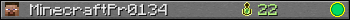 MinecraftPr0134 userbar 350x20