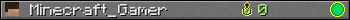 Minecraft_Gamer userbar 350x20