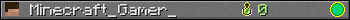 Minecraft_Gamer_ userbar 350x20