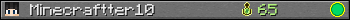 Minecraftter10 userbar 350x20