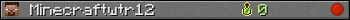 Minecraftwtr12 userbar 350x20