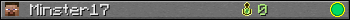 Minster17 userbar 350x20