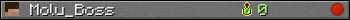 Molu_Boss userbar 350x20