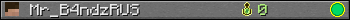 Mr_B4ndzRUS userbar 350x20