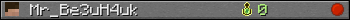 Mr_Be3uH4uk userbar 350x20