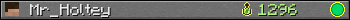 Mr_Holtey userbar 350x20