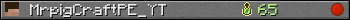 MrpigCraftPE_YT userbar 350x20