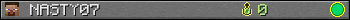 NASTY07 userbar 350x20