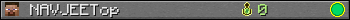 NAVJEETop userbar 350x20
