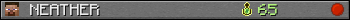 NEATHER userbar 350x20